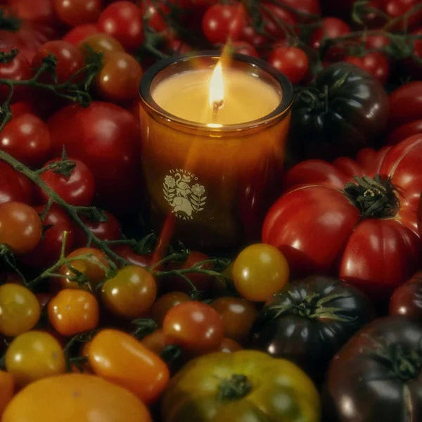 Flamingo Estate Roma Heirloom Tomato Candle