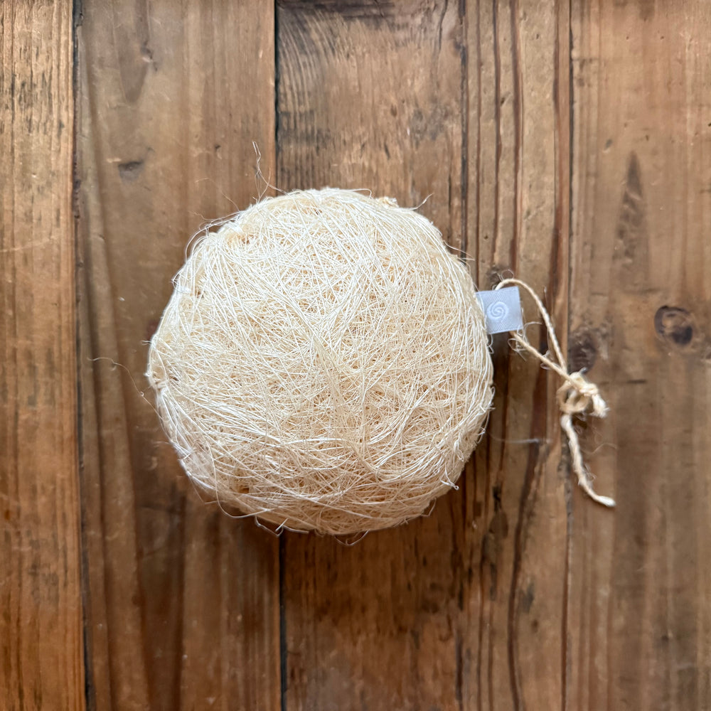 Taller Maya Loofah