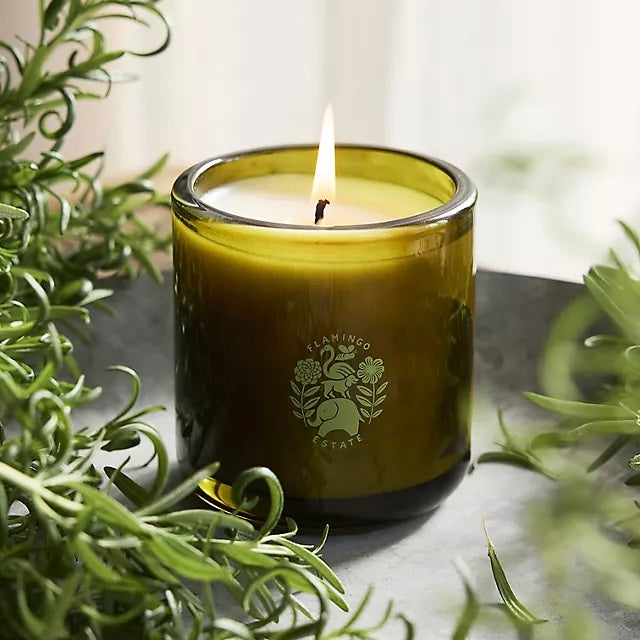 Flamingo Estate Ancient Agrigento Olive Tree Candle
