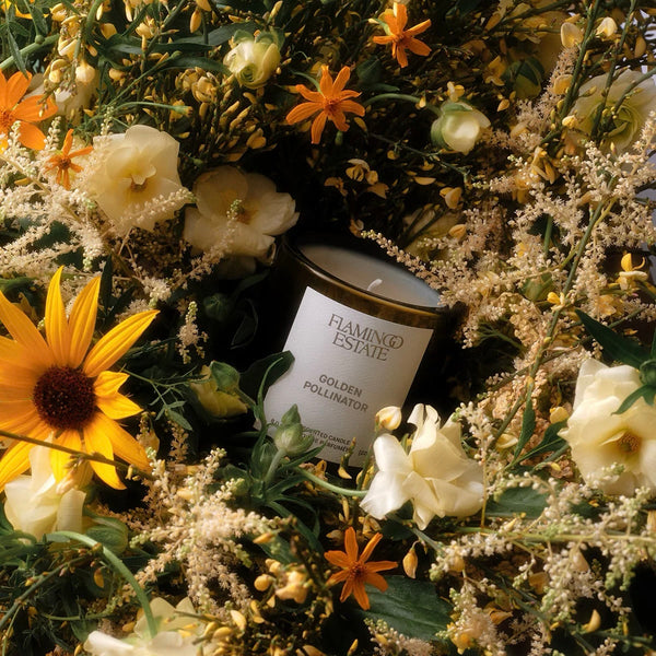 Flamingo Estate Golden Pollinator Candle