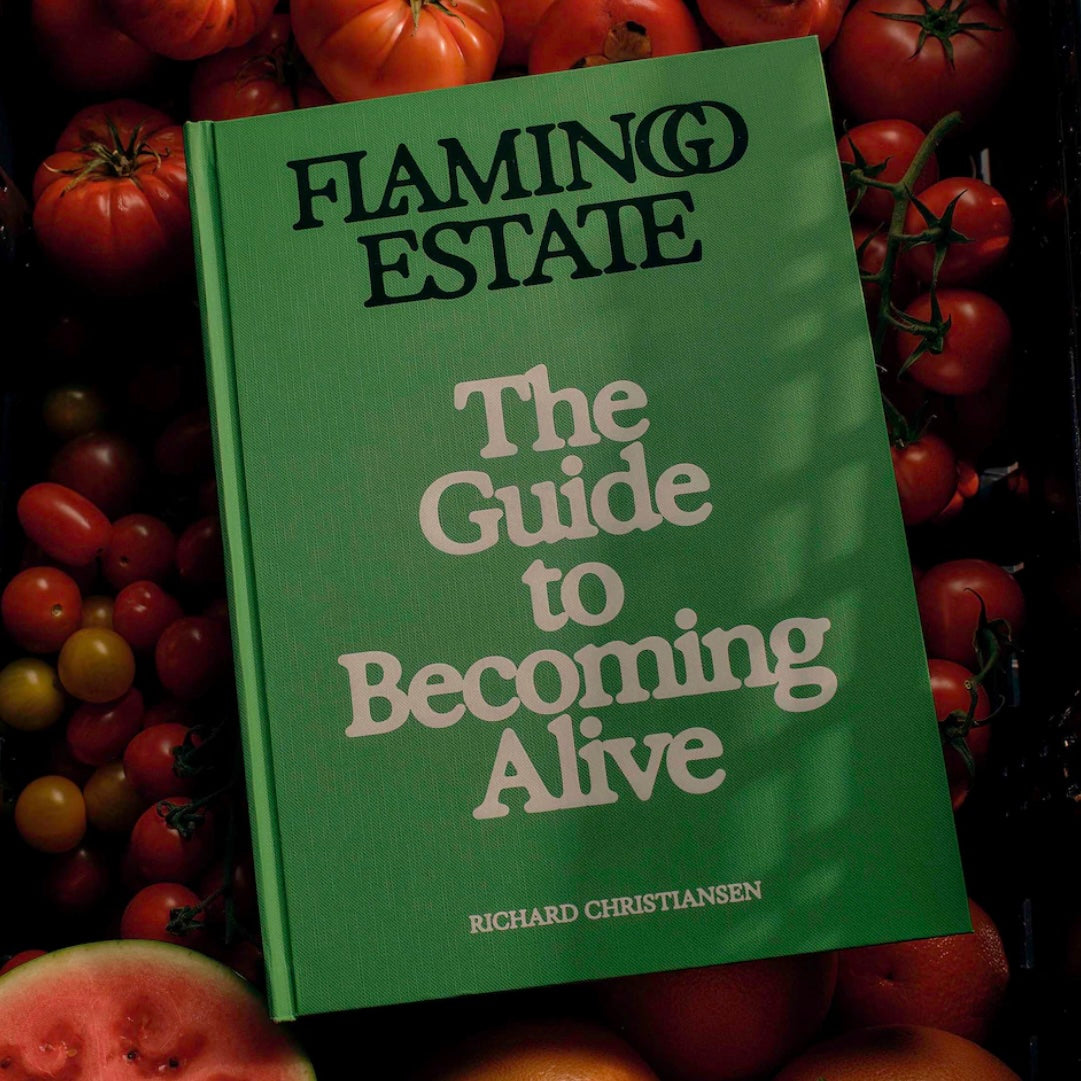 Flamingo Estate: The Guide to Becoming Alive
