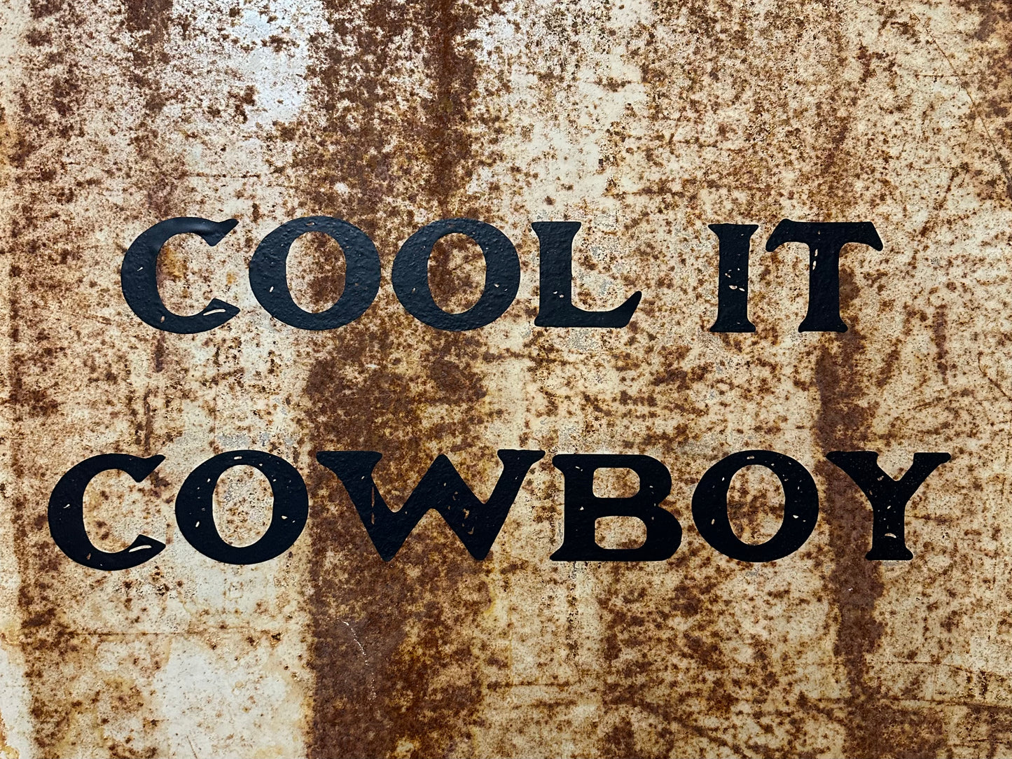 Cool it Cowboy Art
